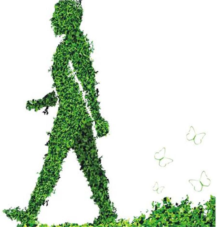 不能不知的11款強室內吸毒植物，裝修房子必備-別墅設計,軟裝設計,室內設計,豪宅設計,深圳例外軟裝設計公司