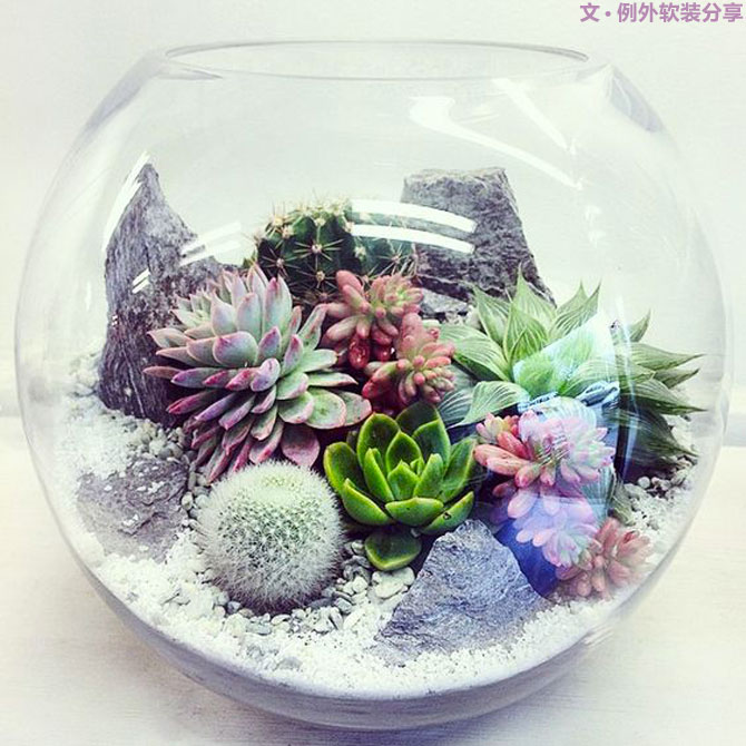 地球人都得了一種，看見“她”就想抱回家養(yǎng)的病！-別墅設(shè)計(jì),軟裝設(shè)計(jì),室內(nèi)設(shè)計(jì),豪宅設(shè)計(jì),深圳例外軟裝設(shè)計(jì)公司